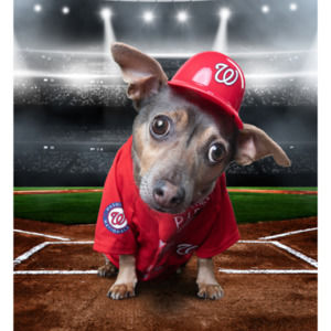 Meet your Posher, Edgar